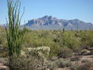 photo thumbnail #3