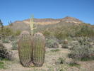 photo thumbnail #8