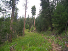 photo thumbnail #13