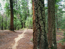 photo thumbnail #14