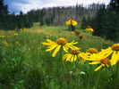 photo thumbnail #7