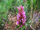 photo thumbnail #8