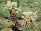 photo thumbnail #3