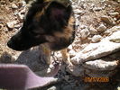 photo thumbnail #8