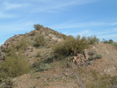 photo thumbnail #4