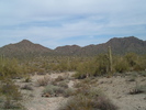 photo thumbnail #12