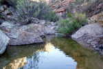 photo thumbnail #15