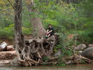 photo thumbnail #2