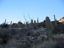 photo thumbnail #2