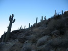 photo thumbnail #3