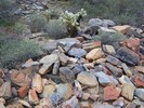 photo thumbnail #6