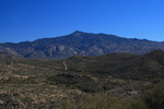 photo thumbnail #9
