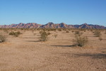 photo thumbnail #5