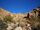 photo thumbnail #11