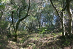 photo thumbnail #10
