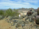 photo thumbnail #3