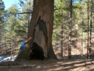 photo thumbnail #5