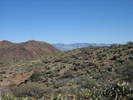 photo thumbnail #12