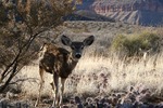 photo thumbnail #14