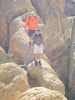 photo thumbnail #9