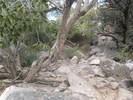 photo thumbnail #5