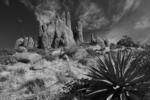 photo thumbnail #8