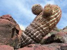 photo thumbnail #6