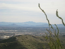 photo thumbnail #1