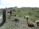 photo thumbnail #5