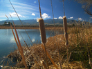 photo thumbnail #12
