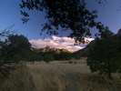 photo thumbnail #11
