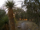photo thumbnail #13