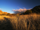 photo thumbnail #14