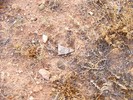photo thumbnail #13