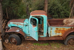 photo thumbnail #5
