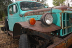 photo thumbnail #7