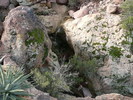 photo thumbnail #6