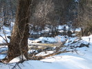 photo thumbnail #3