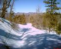 photo thumbnail #12