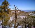 photo thumbnail #14