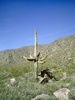 photo thumbnail #2