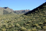 photo thumbnail #6