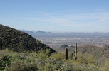 photo thumbnail #8