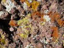 photo thumbnail #2