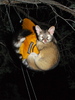 photo thumbnail #12