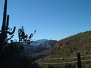 photo thumbnail #1