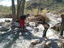 photo thumbnail #10