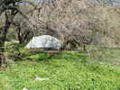 photo thumbnail #13