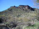 photo thumbnail #1
