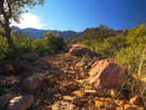 photo thumbnail #3